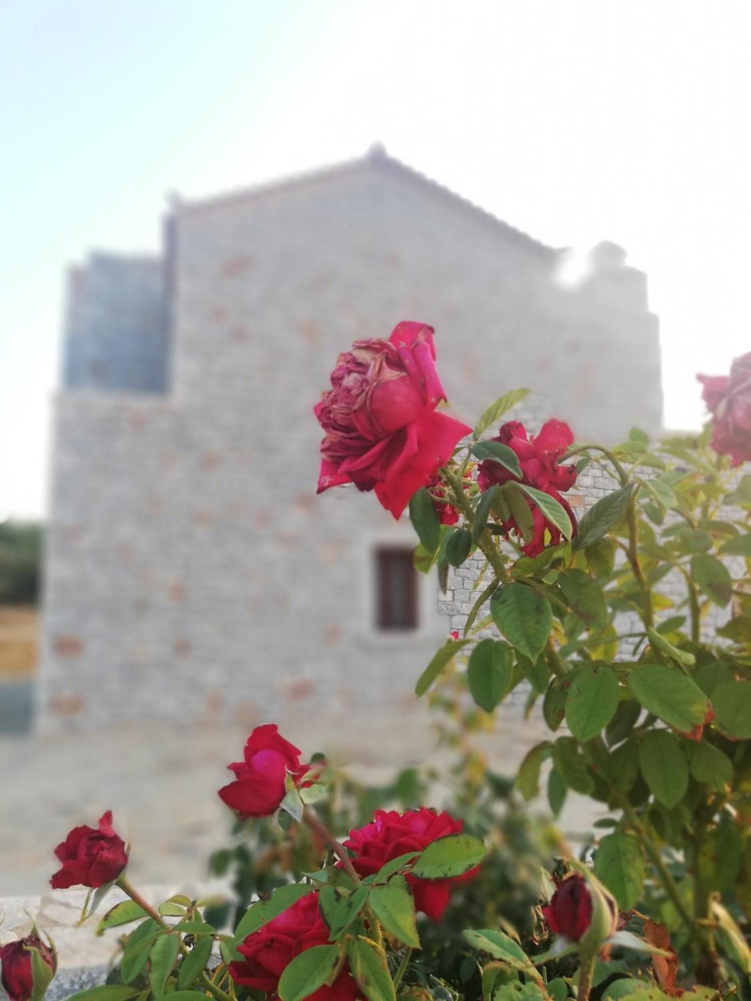 Athevillas Antonis Mina Bagian luar foto